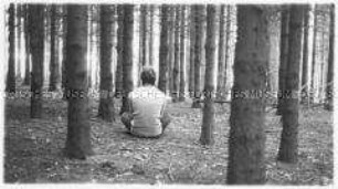 Junger Mann sitzt im Wald zwischen Bäumen (Altersgruppe 18-21)