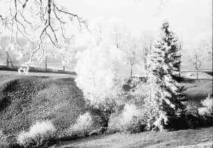 Mühlingen: Raureif auf der Straße