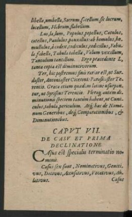 Caput VII. De Casu Et Prima Declinatione.