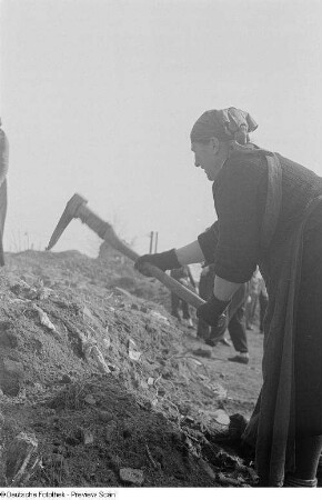 Eine Frau arbeitet auf der Baustelle Chausseehaus mit einer Hacke