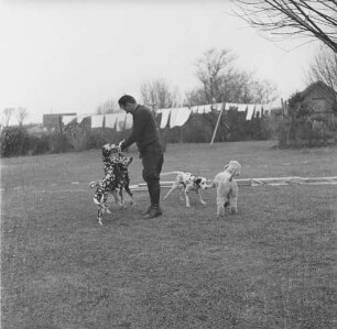 East Hampton, Hunde