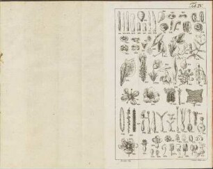 Tab. IV.