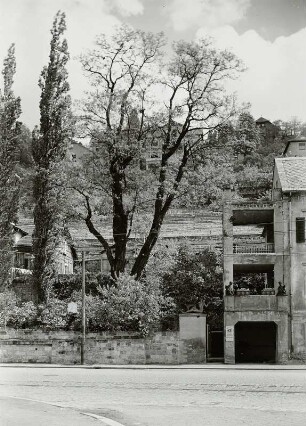 Dresden-Loschwitz, Pillnitzer Landstraße 19. Gartenanlage mit Einfriedungsmauer und Wohnhaus (2. H. 19. Jh.)
