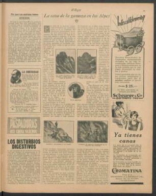 La caza de la gamuza en los Alpes