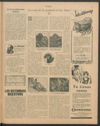 La caza de la gamuza en los Alpes