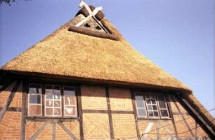 Wiesenstraße 38: traufständiges Fachwerkhaus mit Reetdach: Giebelseite Wohntrakt: Teilansicht: an Giebelspitze Verbretterung, Eulenlöcher, Giebelzier Pferdeköpfe