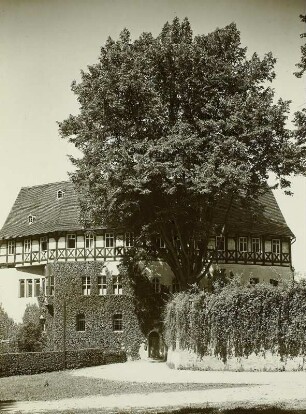 Schloss Rauenstein. Ansicht von Süden mit Burglinde