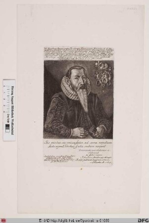 Bildnis Nicolaus Bayer