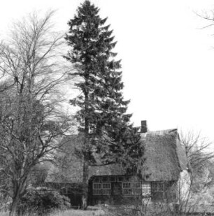 Ahrensburg. Wohnhaus, Am Tiergarten. Gartenseite