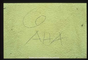 6 AHA
