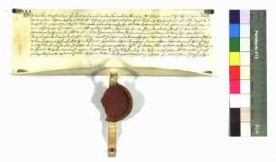 Lehnsbrief des Grafen Wilhelm von Zimmern für Hans Wymann von Schörzingen um das sogenannte Heilinsgut daselbst.