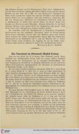 2: Ein Limesfund im Odenwald : Kastell Trienz