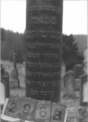 Grabstein 296 (Index: 100009318) Maße HxBxT: 210x40x40 cm Beschreibung: Grabstein in Form einer abgebrochenen Säule: Grabstein 296B
