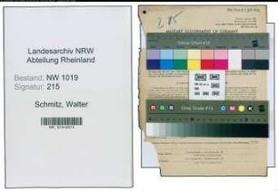 Entnazifizierung Walter Schmitz , geb. 04.08.1909 (Kaufmaennischer Angestellter)