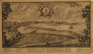 Ansicht von Schleswig