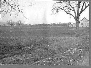 Fischer, Theodor; Friedrichshafen - Fischbach; Haus Gminder - Umgebende Landschaft