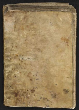Ordinarius ecclesiae Magdeburgensis : Ms. theol. lat. qu. 113