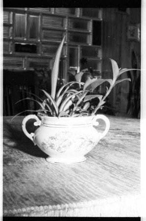 Zuckerdose mit Blumen