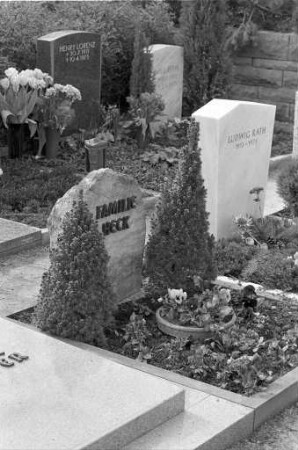 Urnengräber auf dem Karlsruher Hauptfriedhof