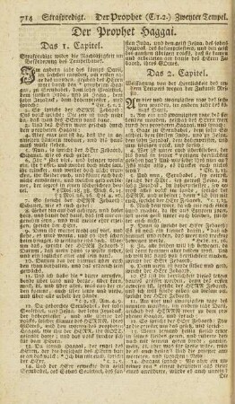Der Prophet Haggai.