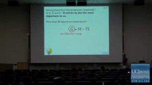 Lecture 15. Getting to know the Gibbs Energy.