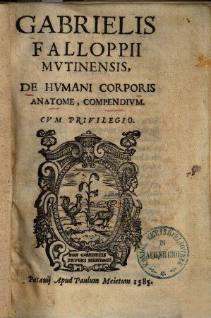 Gabrielis Falloppii Mvtinensis, De Hvmani Corporis Anatome, Compencivm