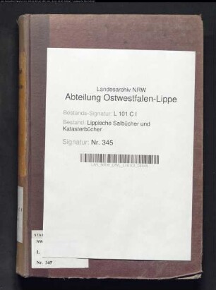 Salbuch der Stadt Lemgo von 1861, Bd. 2 (Duplikat)