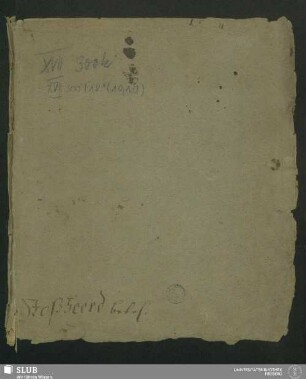 10,10: Bemerkungen den Stoßheerd betr. - XVII 300 8. (10,10)