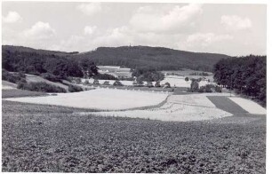 Motiv bei Heiligenkirchen. Detmold. Heiligenkirchen