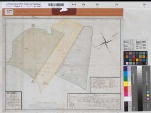Werther (Halle) Teilung der Voßheide um 1770 50 rh. Ruten = 15,4 cm 41 x 51 kol. Zeichnung H. Oberwitler Spez.Verz. Markenkarten XV Nr. 1