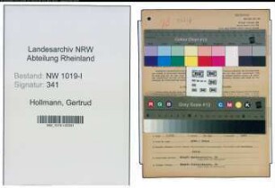 Entnazifizierung Gertrud Hollmann , geb. 10.01.1892 ()