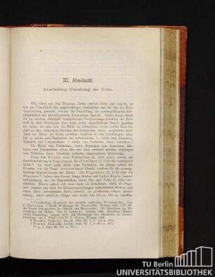 III. Abschnitt. Ausarbeitung (Gestaltung) des Holzes.