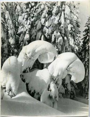 Schneeverwehungen