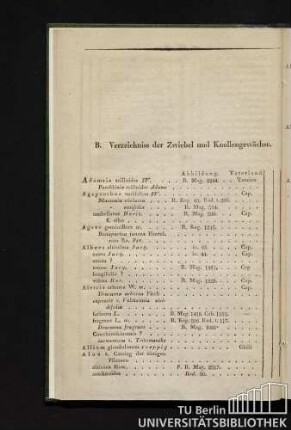 B. Verzeichnis der Zwiebel und Knollengewächse.