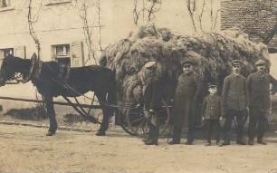 Pferdegespann in Wittichenau : Transport und Kommunikation - Gespann. Ort: Kulow / Wittichenau. Pferdegespann mit Heu.