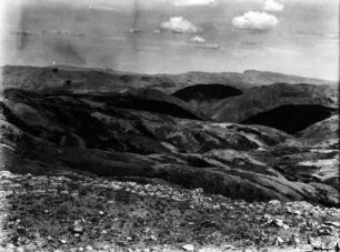 Andenvegetation : Berglandschaft mit Vegetation