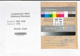 Entnazifizierung Josef Brandt , geb. 04.03.1908 (Wiegemeister)