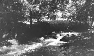 Löbau-Bellwitz. Löbauer Wasser im Skalatal