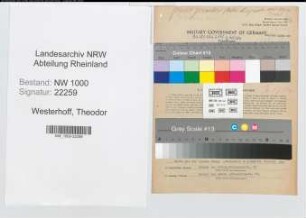 Entnazifizierung Theodor Westerhoff, geb. 06.05.1914 (Gerichtsassessor)