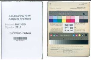Entnazifizierung Hedwig Rehrmann , geb. 29.11.1900 (Lehrerin)