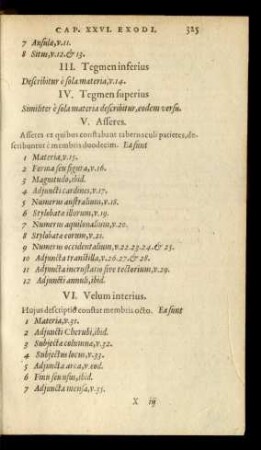 III. Tegmen inferius