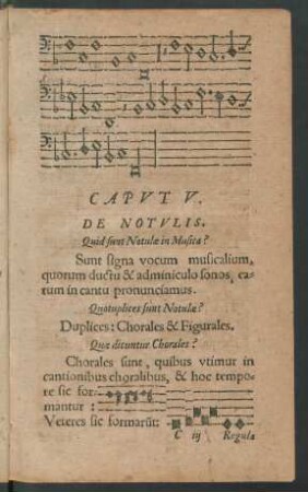 Caput V. De Notulis.