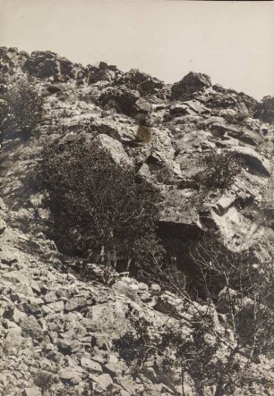 Gebirgslandschaft : Baumwuchs an einem felsigen Hang in den Nafusa-Bergen.