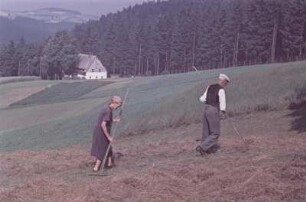 Bauern beim Heuwenden