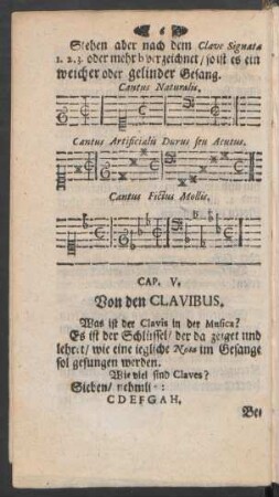 Cap. V. Von den Clavibus