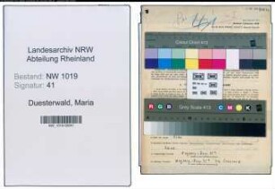 Entnazifizierung Maria Duesterwald , geb. 08.06.1920 (Buchhalterin)