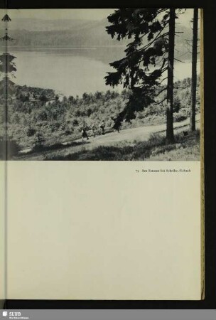 Am Stausee bei Scheibe-Alsbach