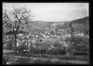 Blick über Altstadt, Kreuzwertheim und Burg