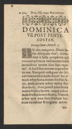 Evangelium Matth. 7.