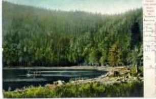 Der Rachelsee im Bayerischen Wald